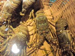 -拉完海鲜大排档(温岭店)