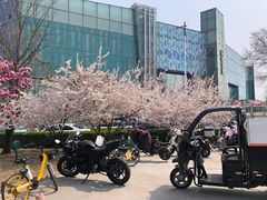 -家乐福(四元桥购物中心店)