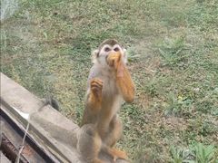 -石家庄市动物园