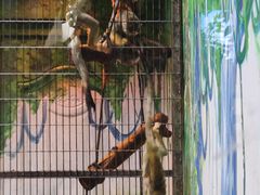 -鄂尔多斯野生动物园