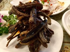 -新聚丰菜馆(太监弄店)