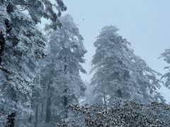 -瓦屋山景区