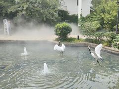 -广富林宰相府酒店·水云间