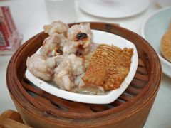 沙嗲金钱肚拼排骨-龙的酒楼·手工早茶·顺德菜(近良路店)