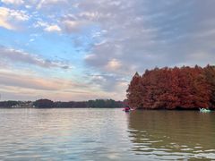 -上海海湾国家森林公园