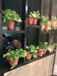 -时尚殿堂明星门店