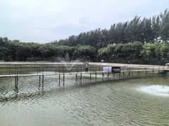 -酷鱼垂钓CLUB(朝阳区博大路店 )