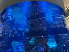 -Olé精品超市(重庆观音桥店)