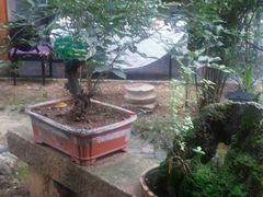 -不倒翁·徽天下名菜楼(马鞍山路店)