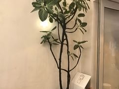 -小团圆糖水铺(襄阳南路店)