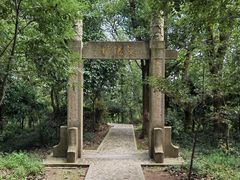 -上海佘山国家森林公园天马山园