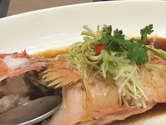 东星斑-东国海鲜火锅城(氹仔店)