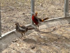 -水上乐园·欢乐世界