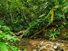 -西双版纳基诺山寨