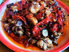 -柴窝堡22号辣子鸡·传承新疆菜