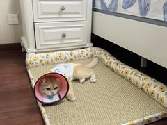 -谐和贝康宠物医院24小时·宠保定点(急重症转诊中心)
