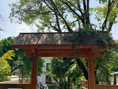 -柠檬花院烤肉·会议团建·聚会·求婚(三圣乡店)