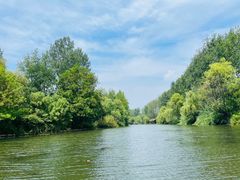 -溱湖国家湿地公园