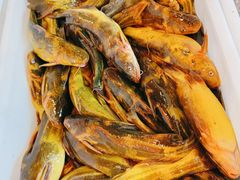 -江湖水乡铁锅炖魚(周庄嘉园店)
