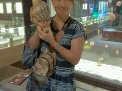 -青岛贝壳博物馆