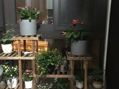 -龙大花卉苗木市场