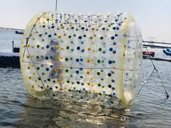 -碧海金沙