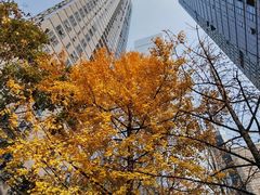 -古大圣慈寺