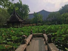 -上海醉白池公园