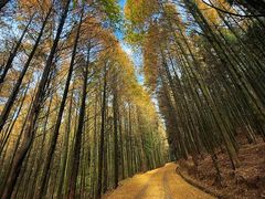 -山王坪喀斯特国家生态公园