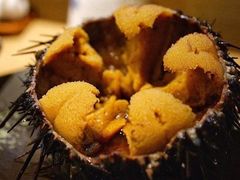 -海胆小馆(东北水饺·春柳店)