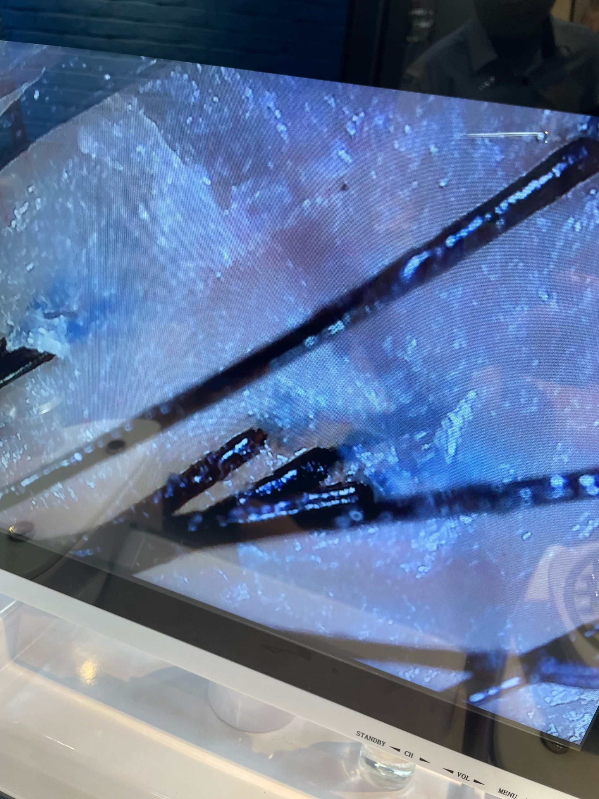 放大两百倍的头皮毛囊