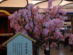 -茶马花街(城西银泰城店)