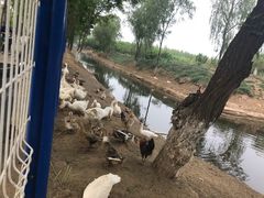 -东郊湿地公园