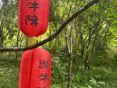 -石台牯牛降景区