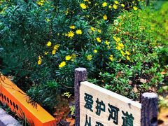 -兰溪青年公园