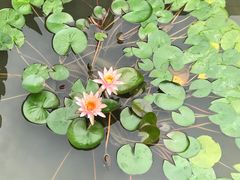 -桐庐开元名都大酒店