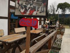 -金山农民画村-枫泾波兰倒置屋