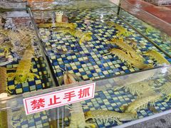 -顺德了能馆(虎门店)