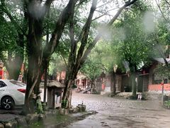 -天门沟九州驿站树上汤泉