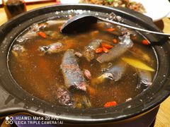 -渔傅·蓝海岸霞浦海鲜(正祥店)