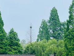 -西湖游船