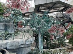 -鄂尔多斯野生动物园