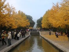 -晋祠公园