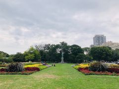 -林肯公园动物园