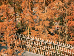 -梅峰山地公园