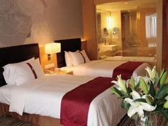 -石家庄万象天成假日酒店