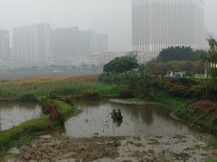 -龙环葡韵住宅式博物馆
