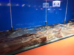 -鱼上·烤鱼(万象城店)