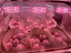 -高记桂花糖炒栗(鼓楼店)