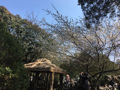 -灵岩山风景区